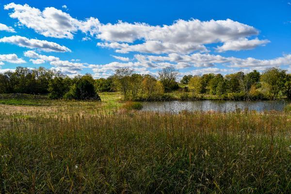 Featured image for “Pickaway County Park District Acquire New Park”