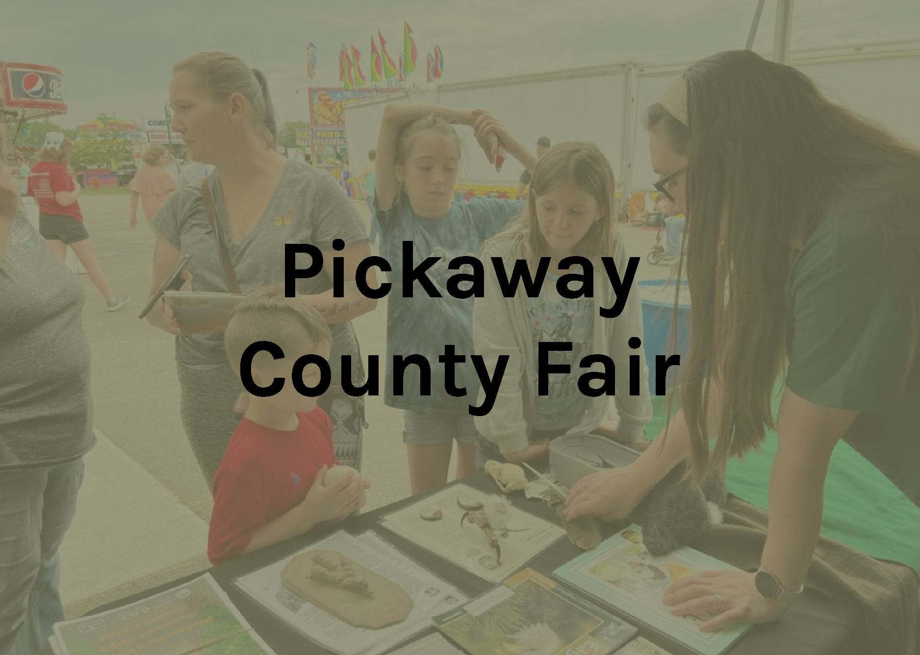 Pickaway County Fair 2022