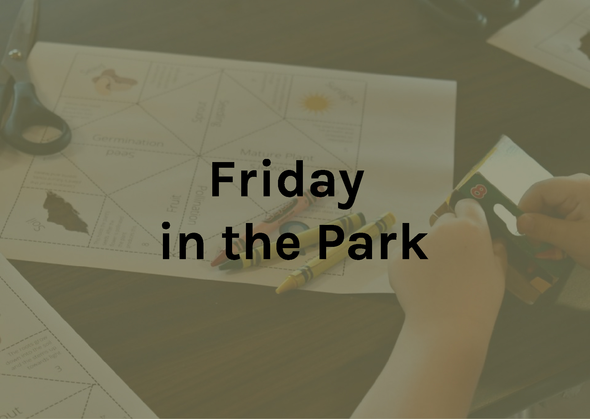 Friday in the Park 2021