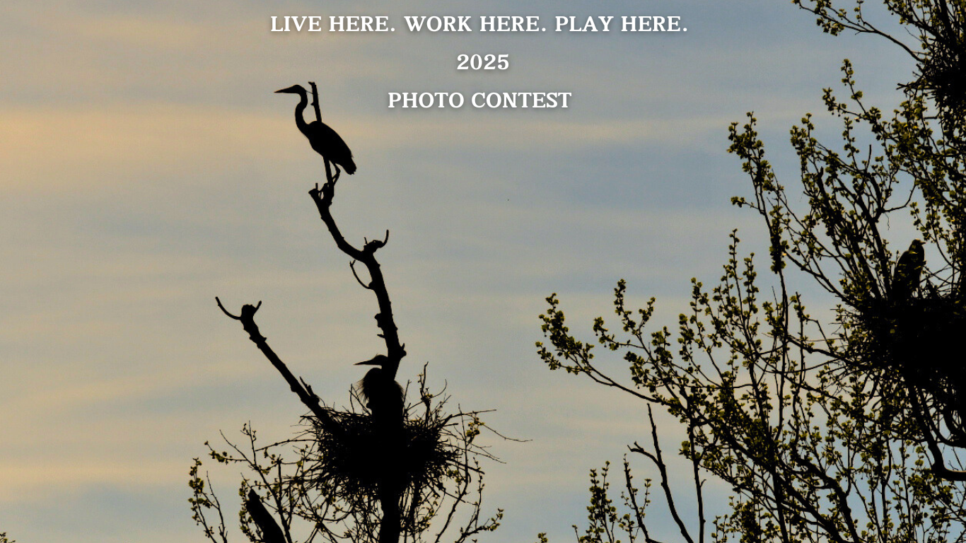 Featured image for “Announcing the Pickaway County Park District Photo Contest!”